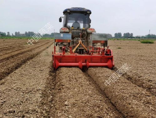 花椰菜生产轻简化，这些施肥机械真高效